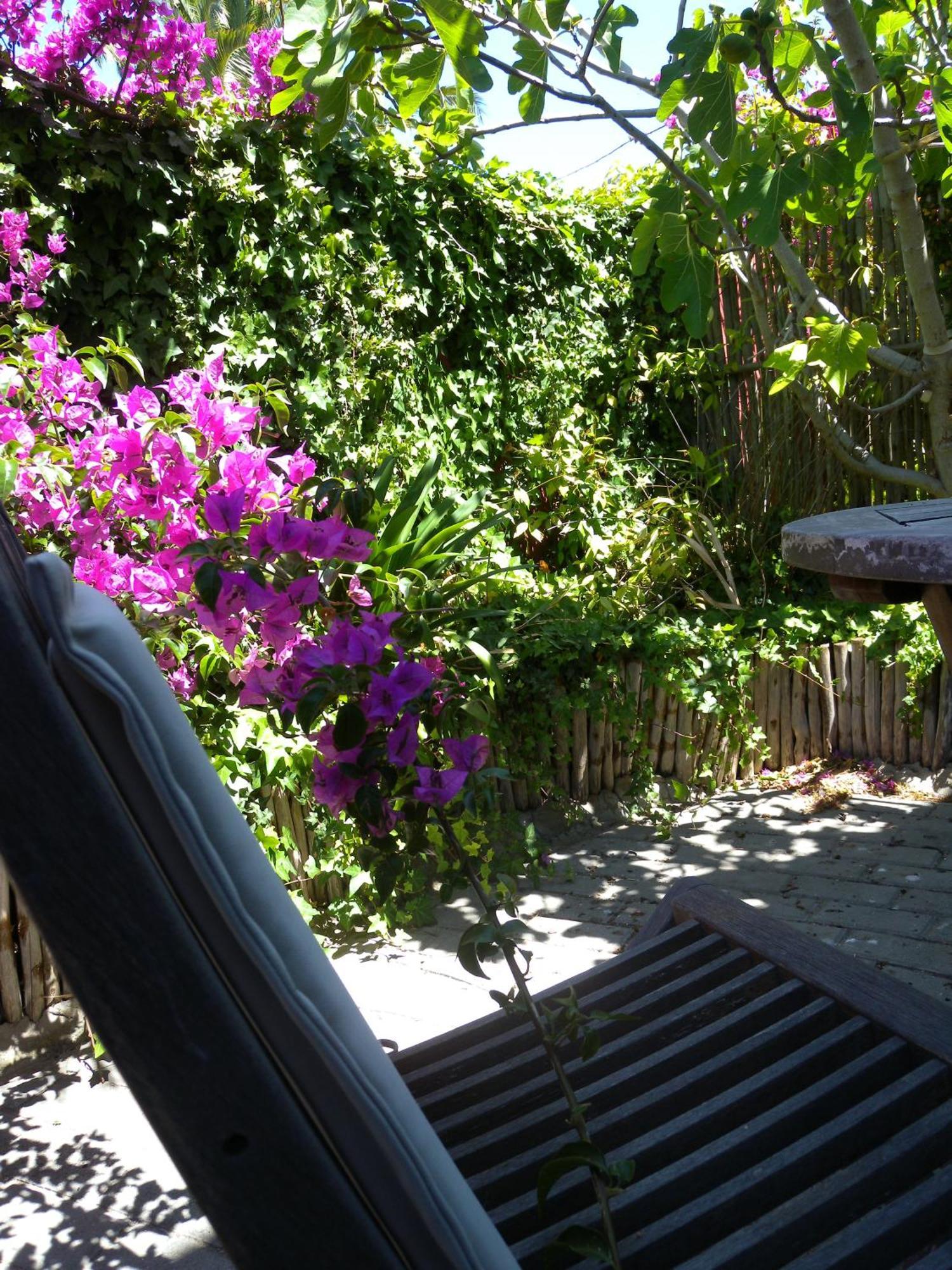 Capetown 4U Guesthouse Bloubergstrand Exteriör bild