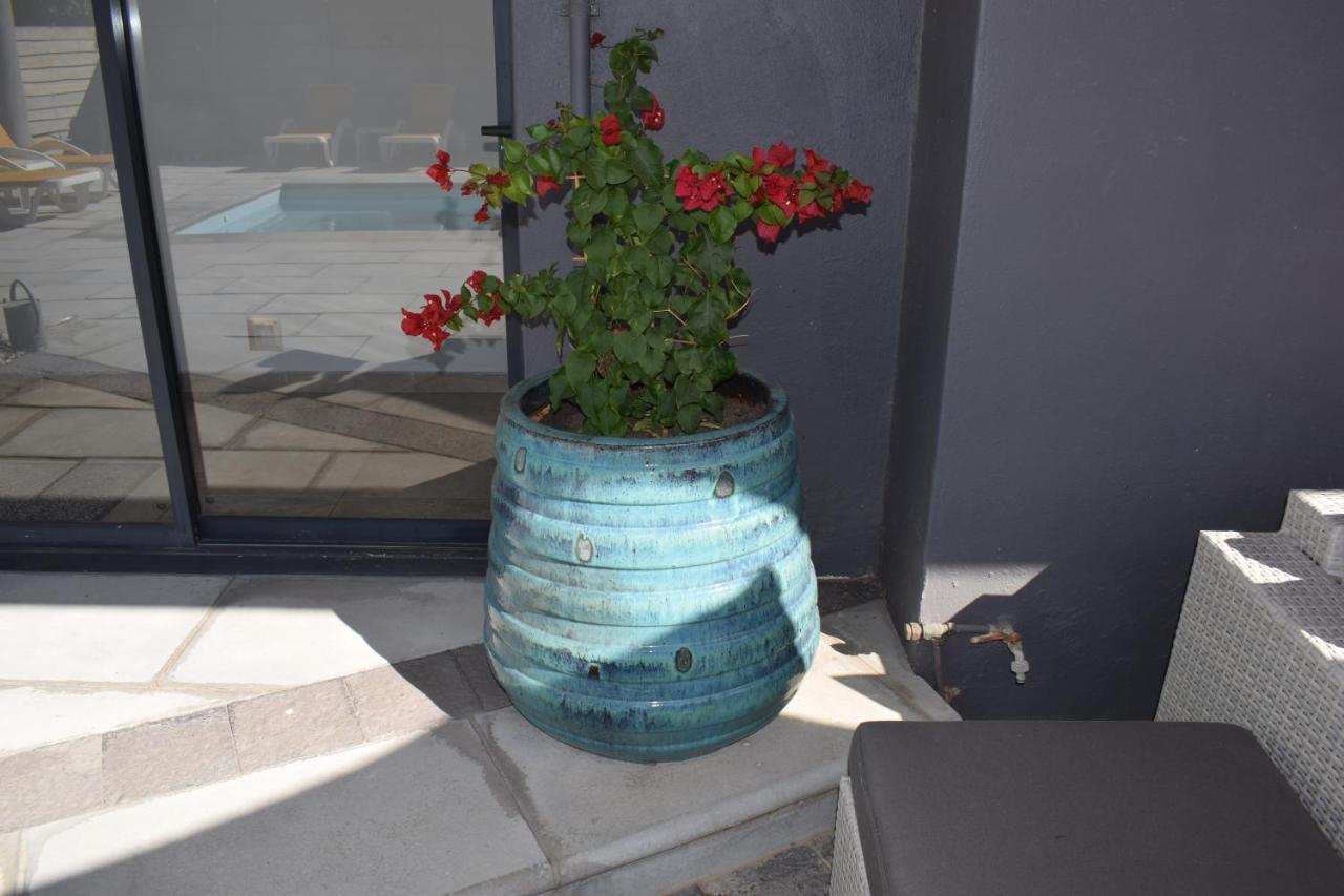 Capetown 4U Guesthouse Bloubergstrand Exteriör bild